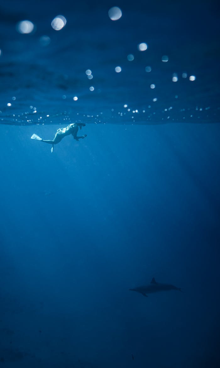 A diver underwater enjoying a close encounter with a dolphin in the peaceful ocean.